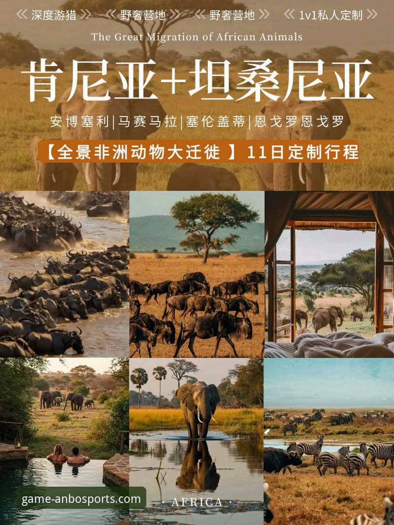 安博体育平台深度体验与选择指南：从官方下载到核心优势解析